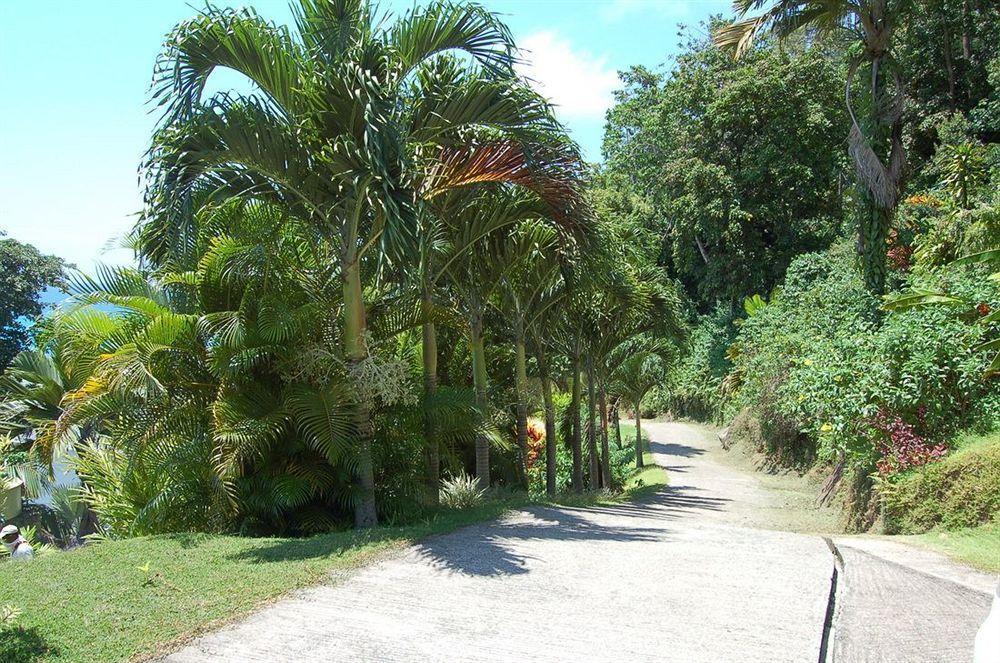 Sailfish Beach Villas Anse a La Mouche Екстериор снимка
