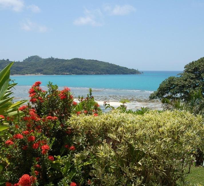 Sailfish Beach Villas Anse a La Mouche Екстериор снимка